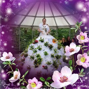 Meet your Posher, Donna